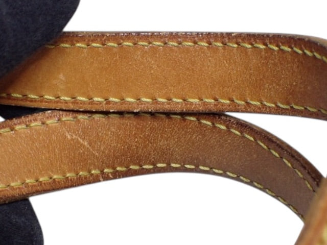 Louis Vuitton Monogram Excursion Bag