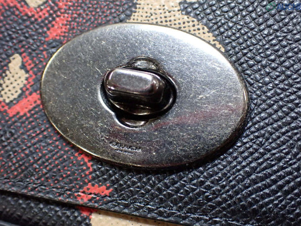 Coach Tortoiseshell Chain Shoulder Bag