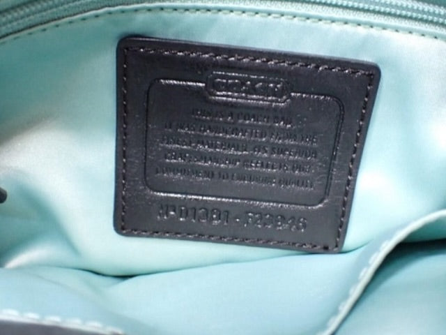 Coach Signature Mini Shoulder Bag