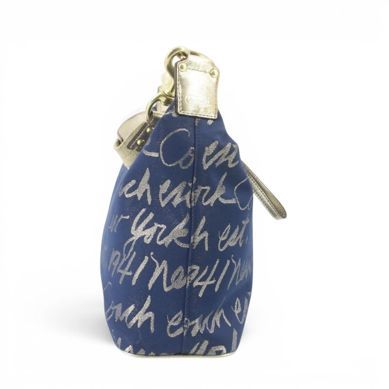 Coach Glitter heart bag