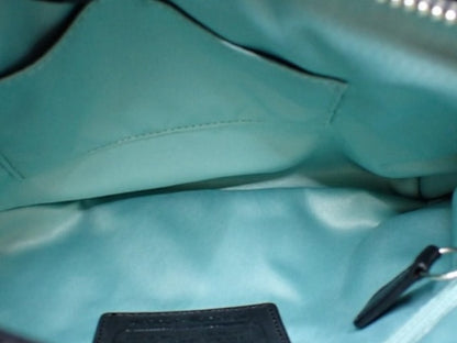 Coach Signature Mini Shoulder Bag