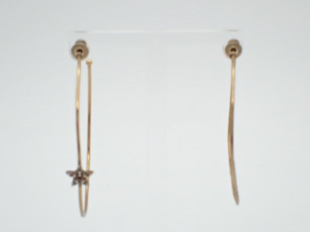 Dior J’Dior Crystal hoop earrings